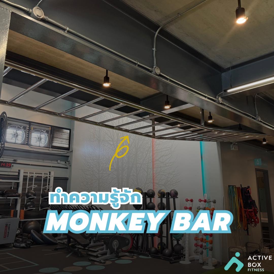 MONKEY BAR