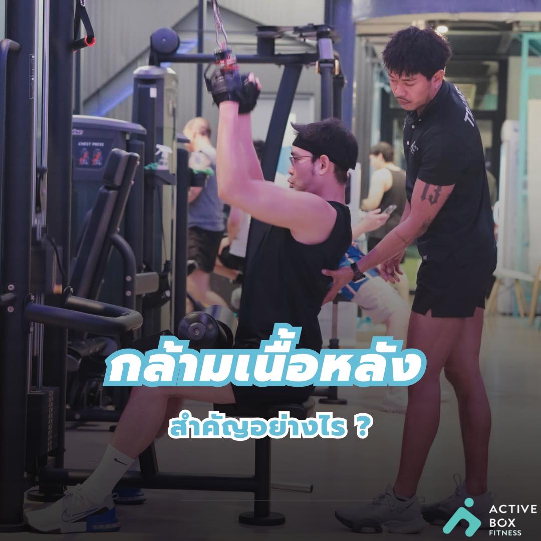 กล้ามเนื้อหลัง สำคัญ