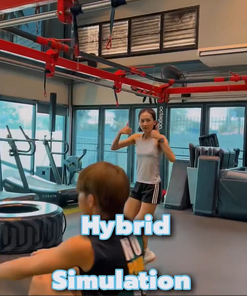 HYBRID SIM DEMO